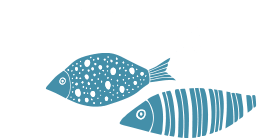 魚